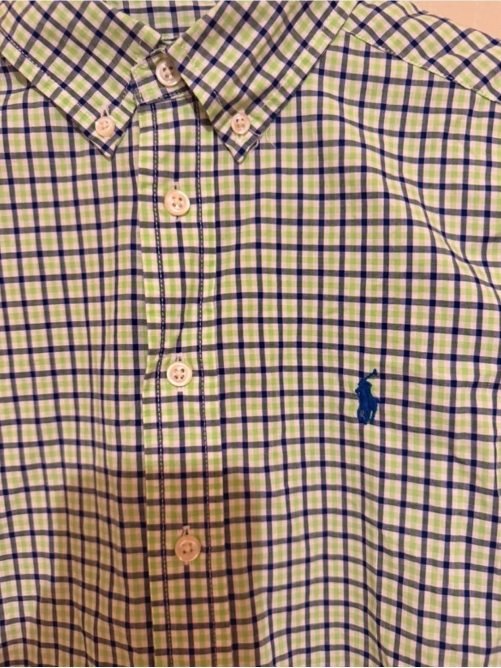 Ralph Lauren Blue & Light Green Checked Button-Down Shirt